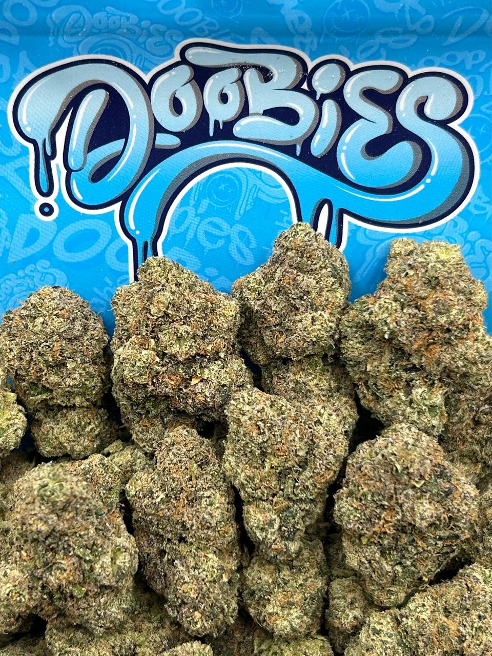 Alien Fritterz
