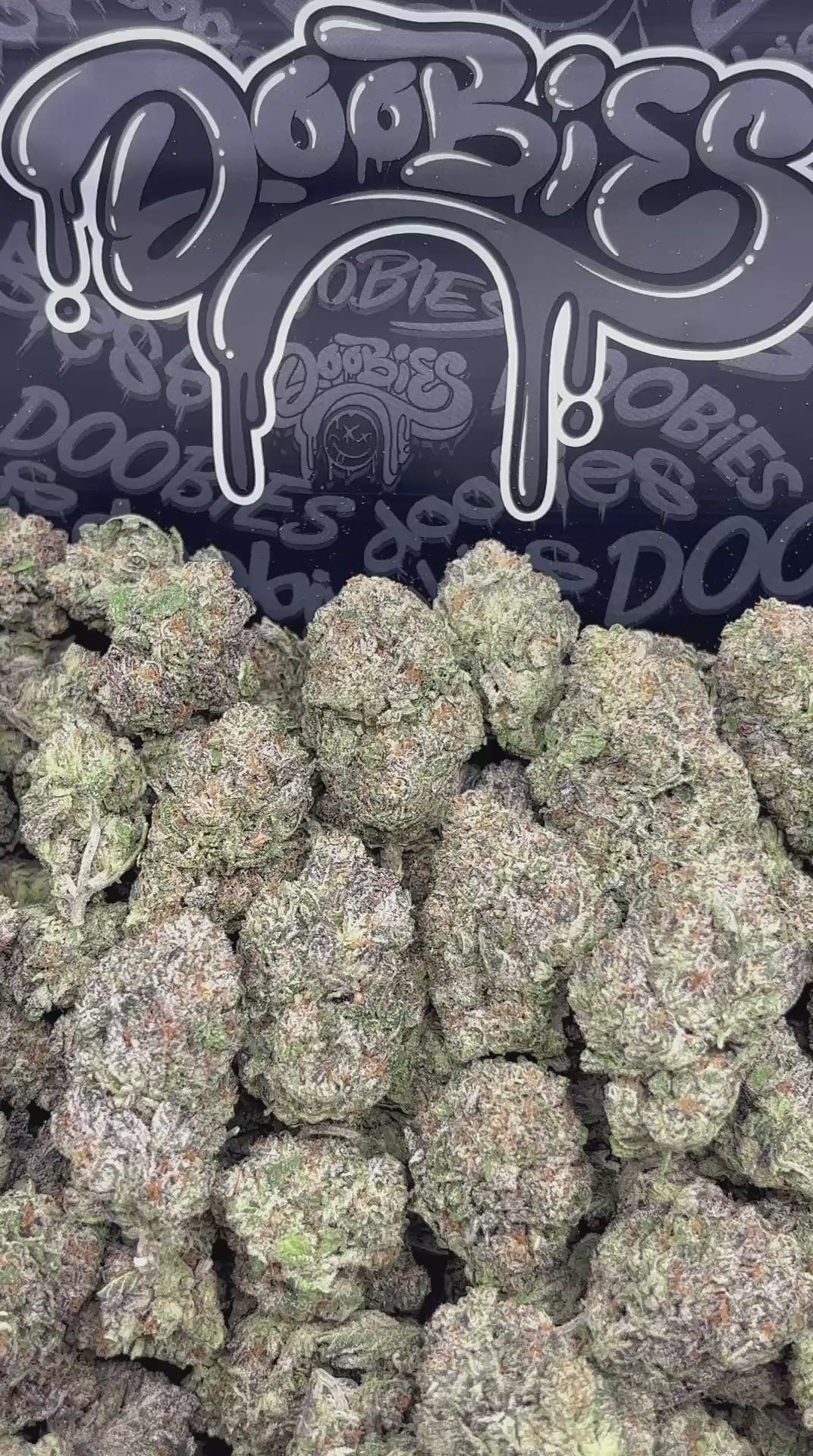 Cherry Limeade Zollipopz