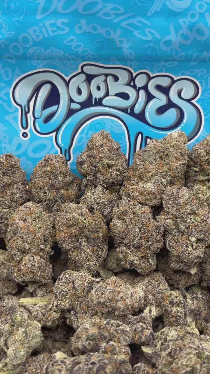 Blue Guava Purp