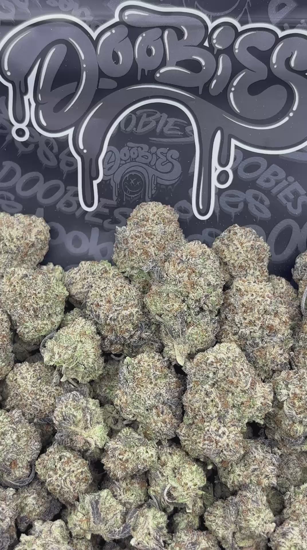 Jelly Donutz