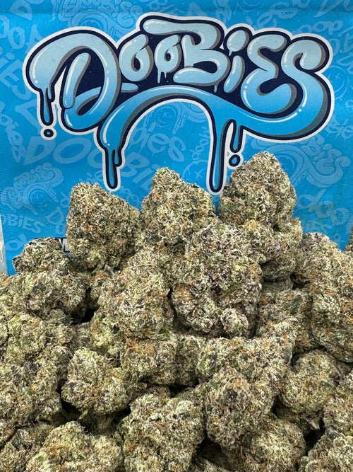 Black Cherry Gelato