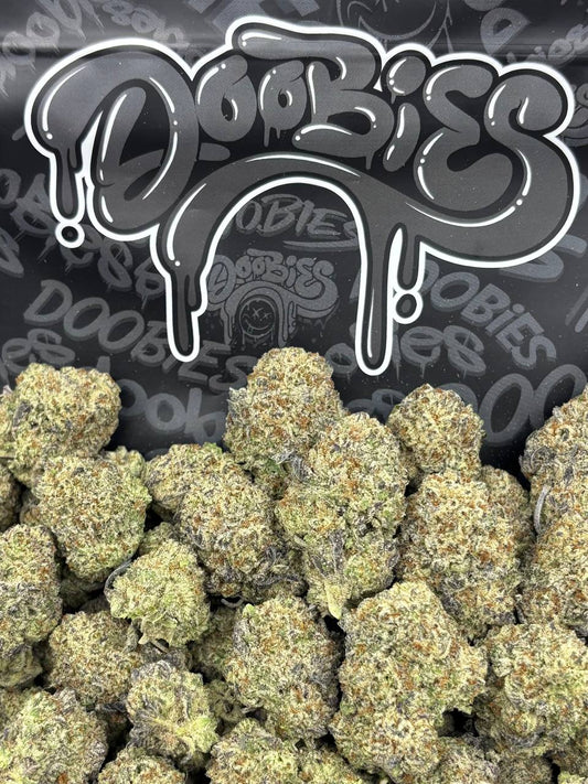 Jelly Donutz