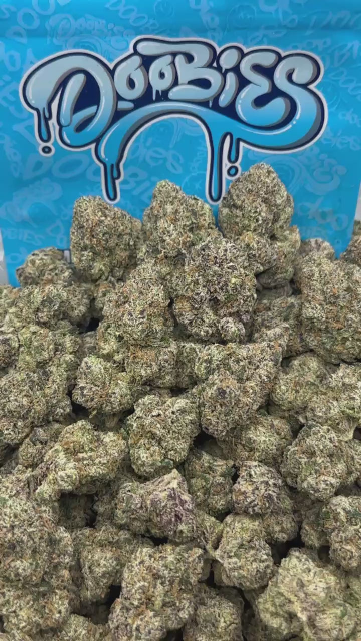 Black Cherry Gelato