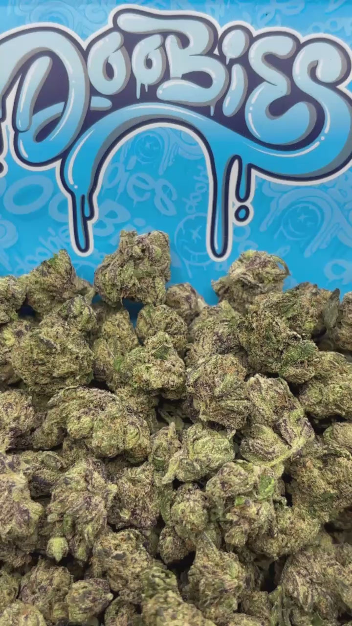 Purple Gas Smalls