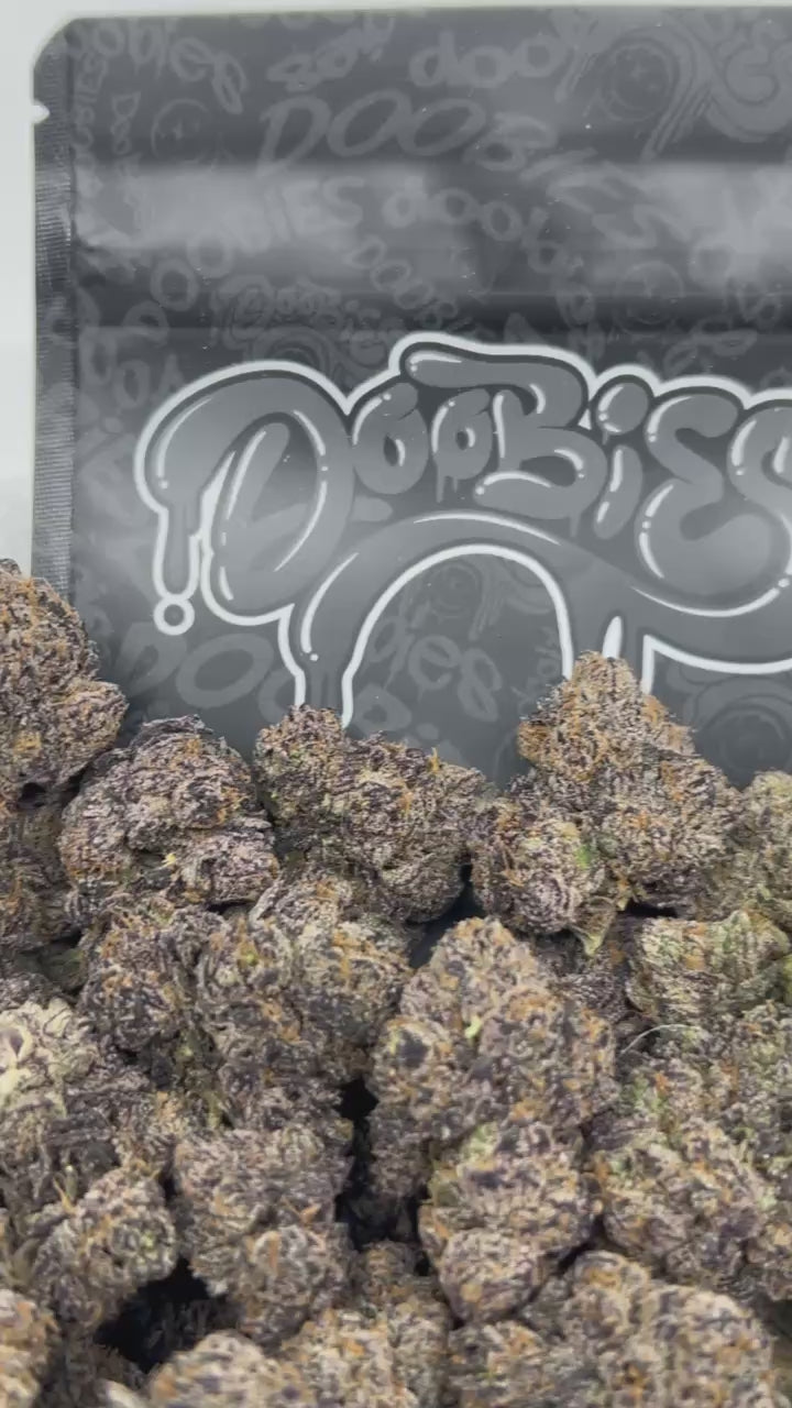 Bompton Berriez